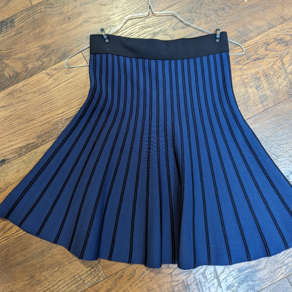 Maje Skirt